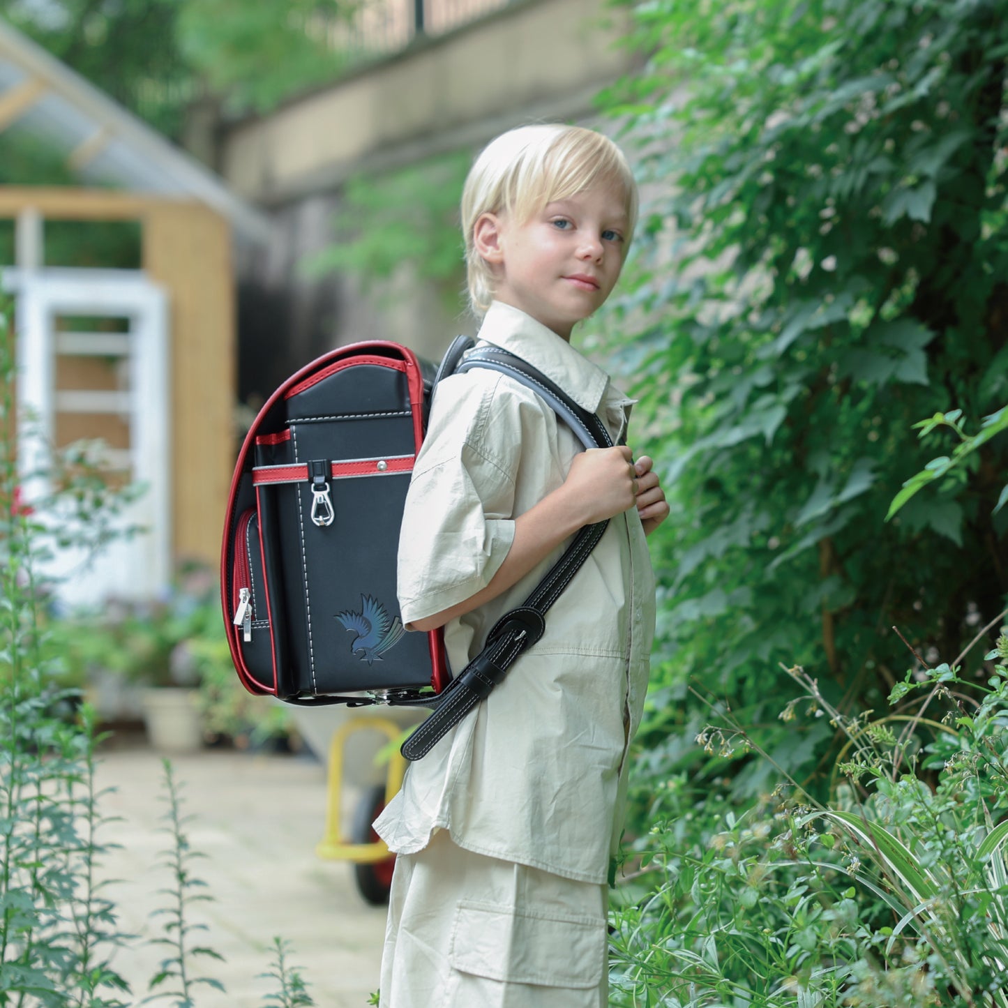 Coulomb, Concerto Series, Eagle Model, 2021, 6 색 [Bl.rx.0027]